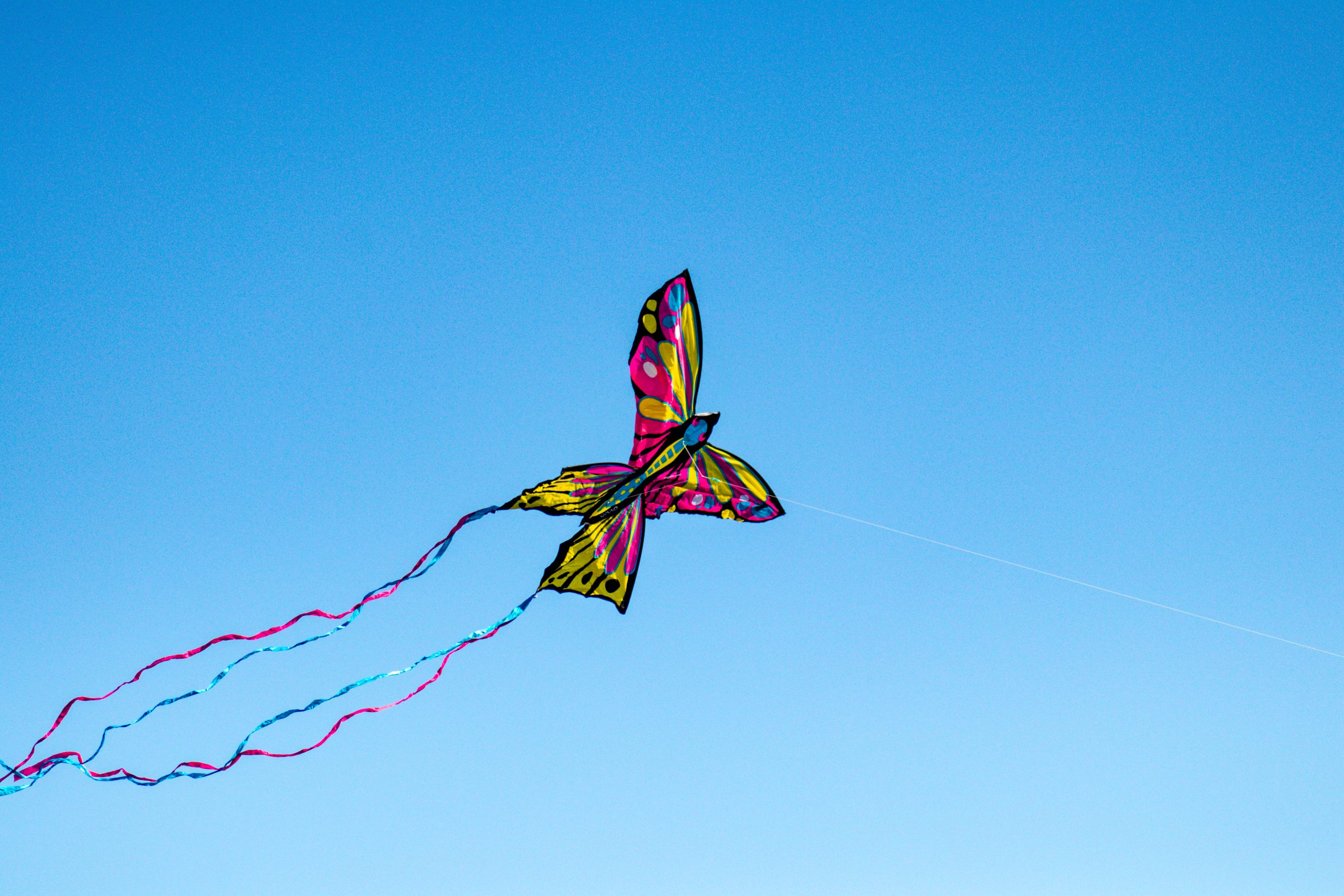 Garden Route Kite Festival